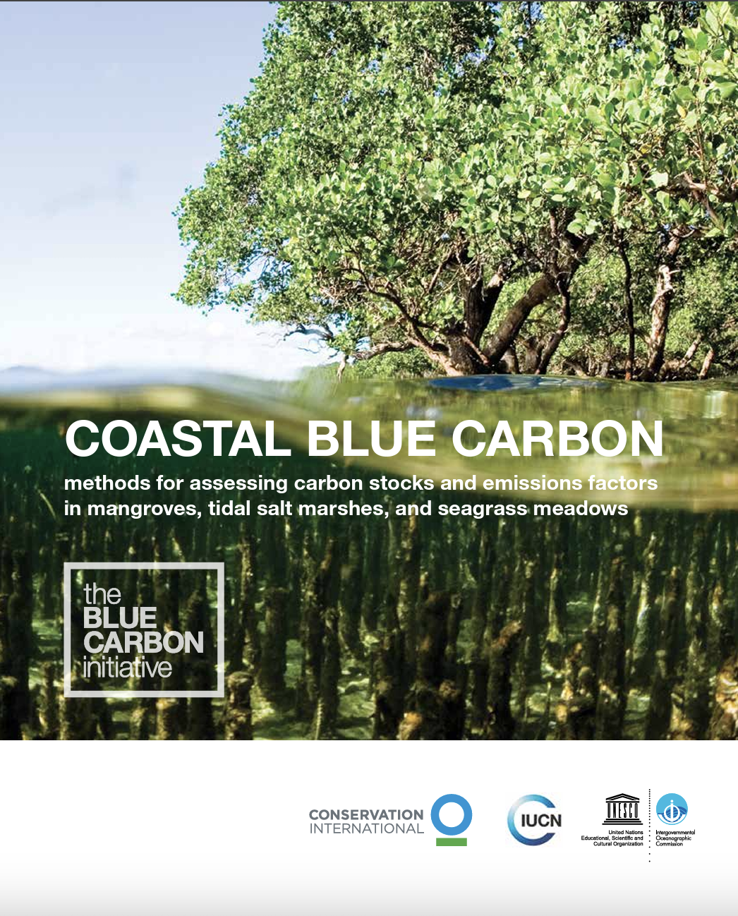 Blue carbon manual – Guidelines for estimating blue carbon stocks