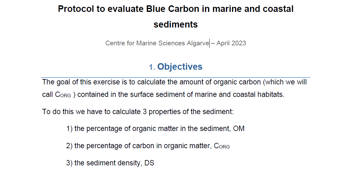 Protocolo carbono azul
